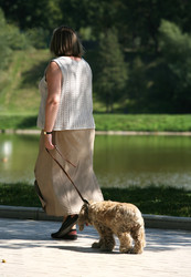 Similar image 1597445