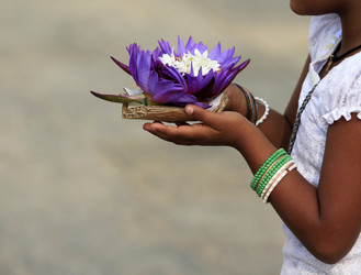 Similar image 1597471