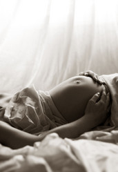 Similar image 1597495