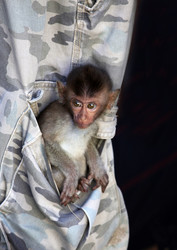 Similar image 1597512