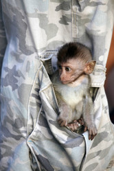 Similar image 1597514