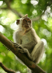 Similar image 1597520