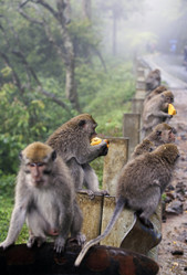 Similar image 1597536