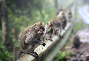 Similar image 1597537