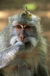 Similar image 1597543