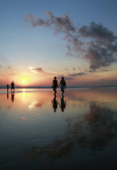 Similar image 1597596