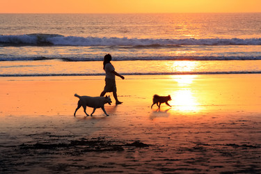 Similar image 1597600