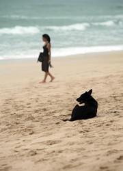 Similar image 1597601