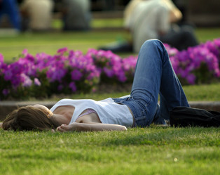 Similar image 1597631