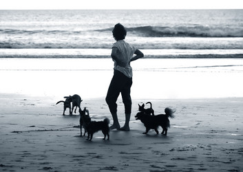 Similar image 1597994