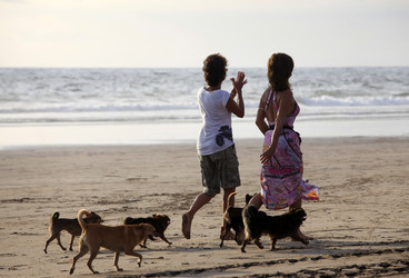 Similar image 1597995