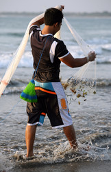 Similar image 1597997