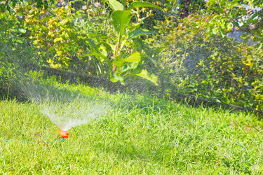 Similar image 1598199