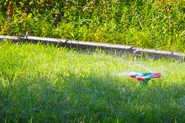 Similar image 1598200