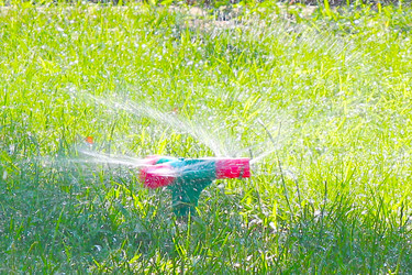 Similar image 1598201