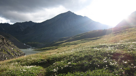 Similar image 1598302