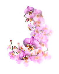 Similar image 1599441