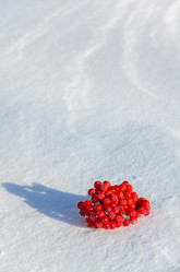 Similar image 1599442