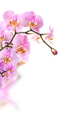 Similar image 1599496