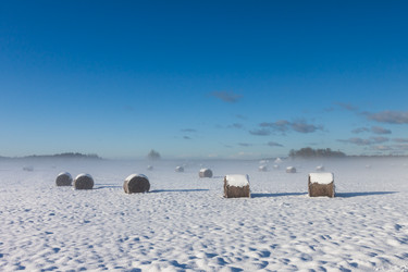 Similar image 1599520