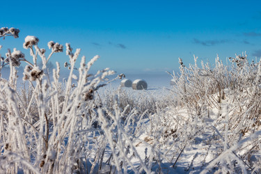 Similar image 1599524