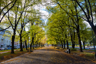 Similar image 1599566