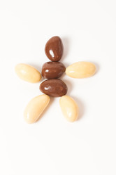 Similar image 1599569