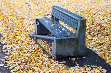 Similar image 1599574