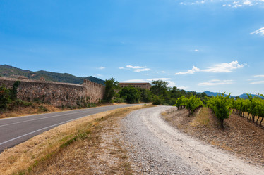 Similar image 1599576