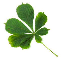 Similar image 1599585