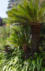 Similar image 1599588