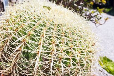 Similar image 1599589