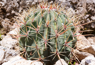 Similar image 1599590