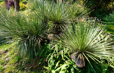 Similar image 1599591