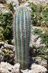 Similar image 1599593