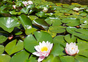 Similar image 1599603