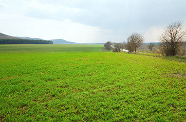 Similar image 1599662