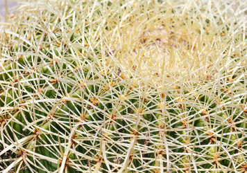 Similar image 1599723