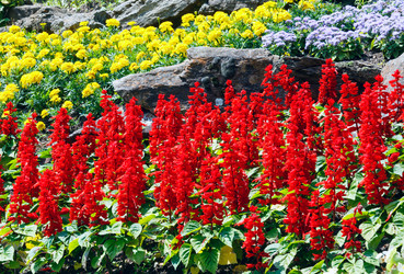 Similar image 1599728