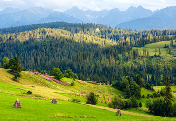 Similar image 1599736