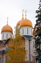 Similar image 1600107