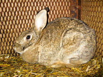 Similar image 1600863