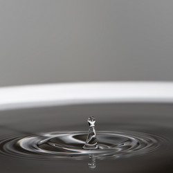 Similar image 1600958