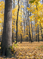 Similar image 1601001