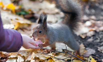 Similar image 1601046