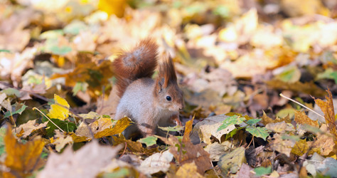 Similar image 1601048