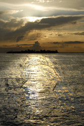 Similar image 1601057