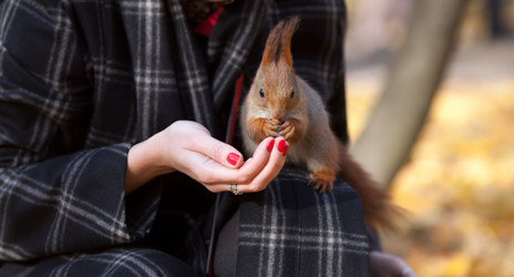 Similar image 1601153