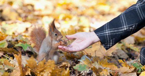 Similar image 1601154