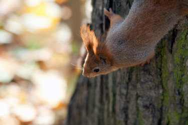 Similar image 1601155